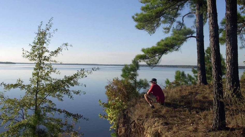 Atlanta State Park, Texas, USA